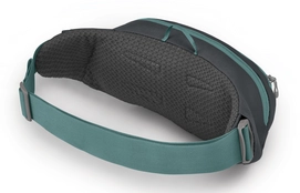 2---DayliteWaist_F21_SideBack_BasaniteEclipseGrey
