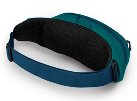 2---DayliteWaist_F21_SideBack_UmberOrangeVerdigrisTeal
