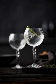 2---Gin & Tonic Glas Lyngby Glas Krystal Alkemist 570 ml (2-delig)-2