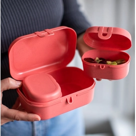 2---Koziol-Pascal-Ready-Mini-Lunchbox-Set-nature-coral-Situation