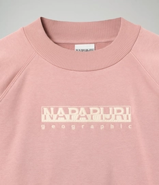 2---NA4EOGPA4-ALT2