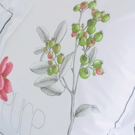 Housse de Couette Tradilinge Pure Percale Percale