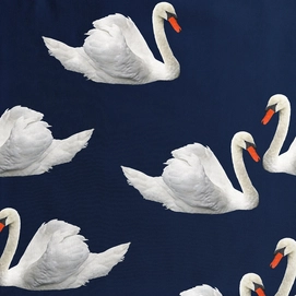 2---Swan-Lake_3000px_sampleqeDH71RFGY5j4