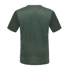 T-Shirt The North Face Men's Reactor S/S V-Neck Climbing Ivy Green