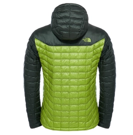 Winterjas The North Face M Thermoball Hoodie Climbing Ivy Green