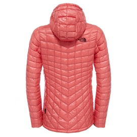 Winterjas The North Face W Thermoball Hoodie Spiced Coral