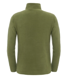 Trui The North Face Youth Glacier 1/4 Zip Terrarium Green