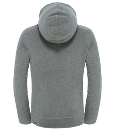 Trui The North Face Youth 100 Drew Peak Hoodie Medium Grey