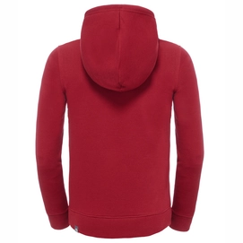 Trui The North Face Youth Drew Peak Biking Red