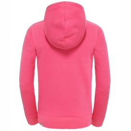 Trui The North Face Youth Drew Peak Cabaret Pink