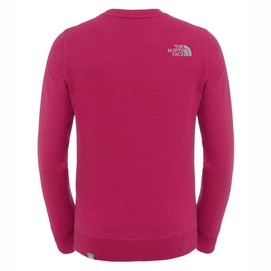 Trui The North Face Youth Drew Peak Crew Roxbury Pink