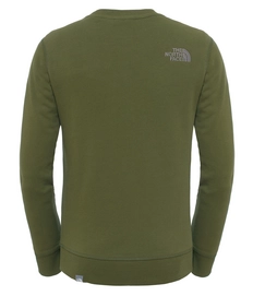 Trui The North Face Youth Drew Peak Crew Terrarium Green