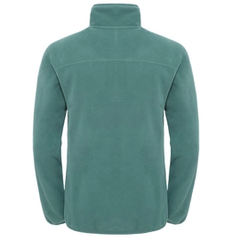 Trui The North Face M 100 Glacier 1/4 Zip Duck Green
