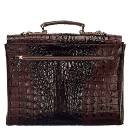 2---The Walker 0533 Bruin Croco B19 Back