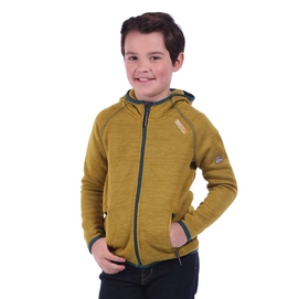 Vest Regatta Dissolver Antique Moss
