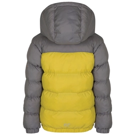Winterjas Regatta Giant II Antique Moss