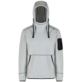 Trui Regatta Antero Light Steel
