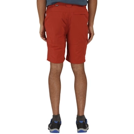 Korte Broek Regatta Mens Leesville Short Burnt Tikka