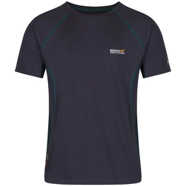 T-Shirt Regatta Mens Virda Seal Grey/Seal Grey