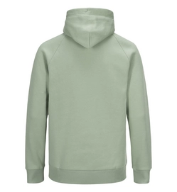 Trui Peak Performance Men Logo Hood Downy Green