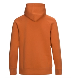 Trui Peak Performance Men Logo Hood Orange Flow