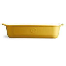 2---petit-plat-a-four-rectangulaire Provence (2)