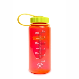 2---16oz-WM-Pomegranate_Back-505x758