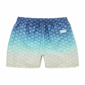 2---860_ba33bdebd8-polar-sky-swim-shorts-5001-293-b-original-_no-bg