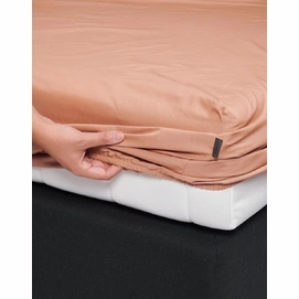 2---minte_fitted_sheet_bright_terra_100172_502_lr_s1_p