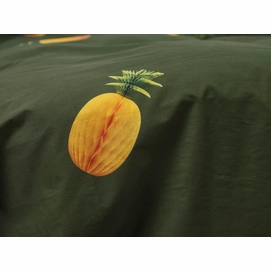 2----Pineapples_Snurk-6642