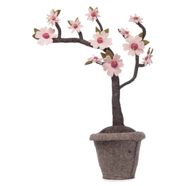 Dekorationspflanze Kidsdepot Blossom