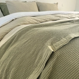 3---Everest-olive-green-3.png