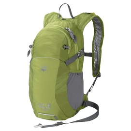Rucksack Jack Wolfskin Ham Rock 16 Earl Grün
