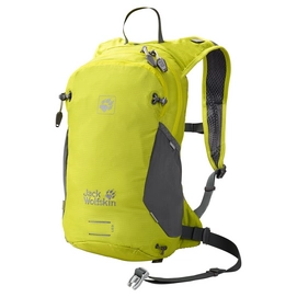 Rucksack Jack Wolfskin Ham Rock 12 Flashing Grün