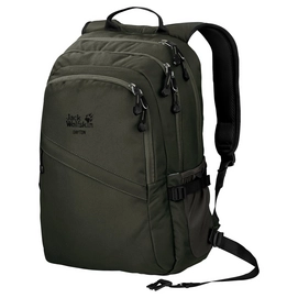 Rucksack Jack Wolfskin Dayton Pinewood