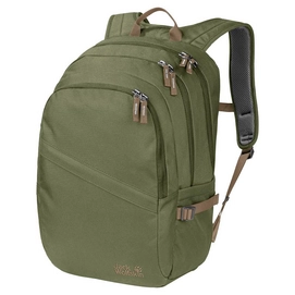 Rucksack Jack Wolfskin Dayton Light Moss Unisex