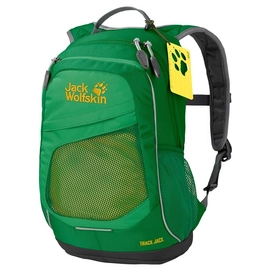 Rugzak Jack Wolfskin Kids Track Jack Forest Green