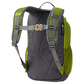 Rugzak Jack Wolfskin Kids Track Jack Green Tea
