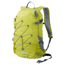 Rucksack Jack Wolfskin Rockdale 24 Pack Guacamole Grün