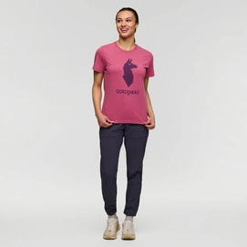 4---1200x1200png-F24WCotopaxiLlamaTShirtSangria_002_1200x