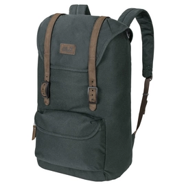 Rucksack Jack Wolfskin Earlham Greenish Grey