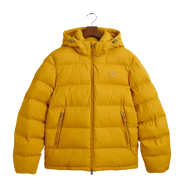 Jas GANT Men Active Cloud Maple Yellow