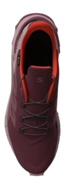 6---L47594500_10_VIR_SUPERCROSS_4_GTX_W_TAWNY PORT -DEAUVILLE MAUVE -CHERRY TOMATO-_no-bg