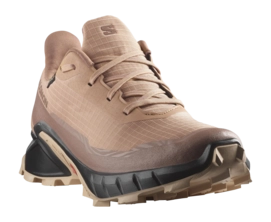 4---L47595100_5_GHO_ALPHACROSS 5 GTX WCork_Black_Hazelnut-_no-bg