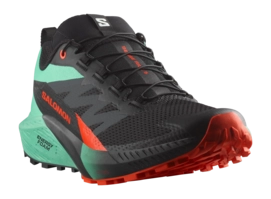 2---salomon-sense-ride-5-trailschoenen-heren-993188-_no-bg