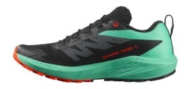 3---salomon-sense-ride-5-trailschoenen-heren-887257-_no-bg