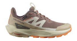Wanderschuhe Salomon Elixir Activ GTX Damen Falcon White Pepper Papaya