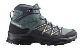Wanderschuhe Salomon Daintree Mid GTX Damen Stormy Weather Ebony Almond Cream