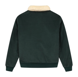 2---cdsvsd-_no-bg