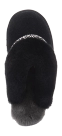 2---fls321909-ba-_no-bg